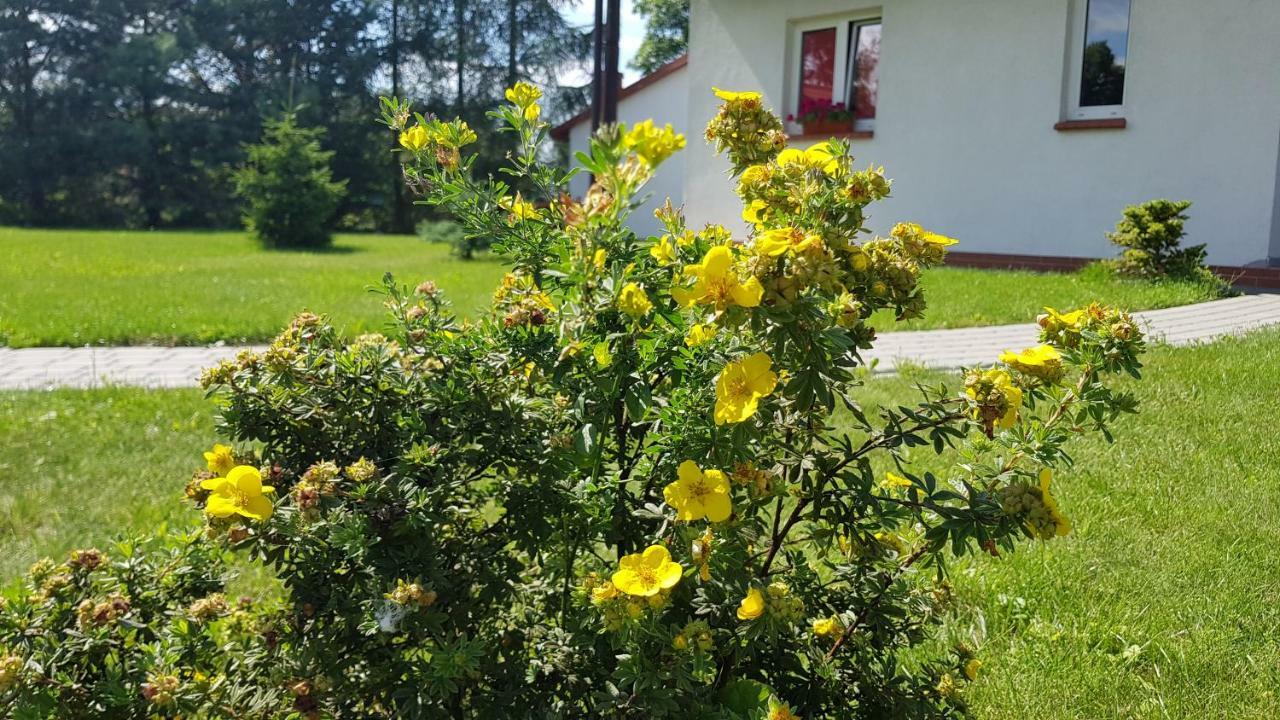 Gosciniec Mazurek Apartman Giżycko Kültér fotó